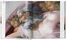 Michelangelo. The Complete Paintings, Sculptures and Architecture [Taschen Bibliotheca Universalis] дополнительное фото 5.