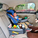 Детский универсальный автомобильный столик для автокресла, Bugs дополнительное фото 4.