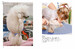 Dogs (Mini Encyclopedia) [Amber Books] дополнительное фото 5.