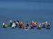 Конструктор LEGO Minifigures Минифигурки - Marvel Studios 71031 дополнительное фото 4.