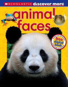 Пізнавальні книги: Animal Faces