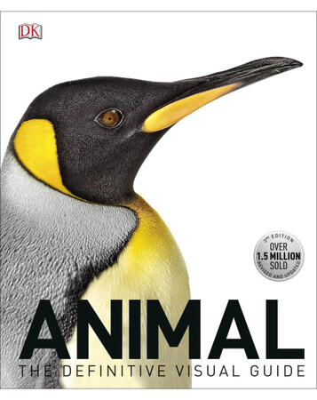 Для середнього шкільного віку: Animal: The Definitive Visual Guide (9780241298848)