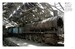 Abandoned Train Stations [Amber Books] дополнительное фото 6.