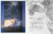 A Middle-Earth Traveller: Sketches from Bag End to Mordor [Harper Collins] дополнительное фото 6.
