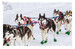 Dogs (Mini Encyclopedia) [Amber Books] дополнительное фото 4.