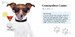 Dogs Gone Bad (Mini Gift) [Amber Books] дополнительное фото 3.