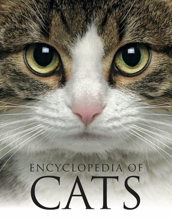 Енциклопедії: Encyclopedia of Cats [Amber Books]
