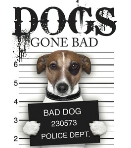 Фауна, флора і садівництво: Dogs Gone Bad (Mini Gift) [Amber Books]