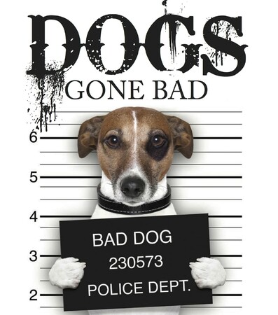 Фауна, флора і садівництво: Dogs Gone Bad (Mini Gift) [Amber Books]