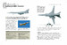 Modern Military Aircraft: Multi-role Fighters, Interceptors, Bombers, Transports [Amber Books] дополнительное фото 3.