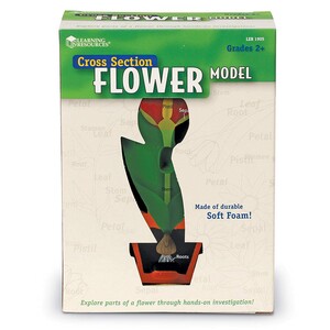 Исследования и опыты: Модель цветка в разрезе Learning Resources