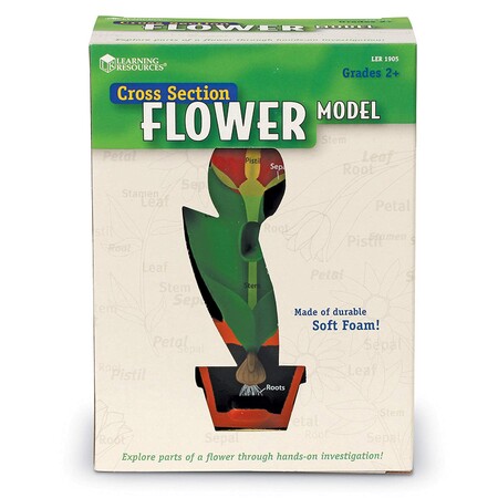 Природознавство: Модель квітки в розрізі Learning Resources