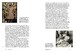 World of Art: Women in Design [Thames & Hudson] дополнительное фото 11.