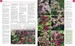 RHS Encyclopedia of Perennials дополнительное фото 1.