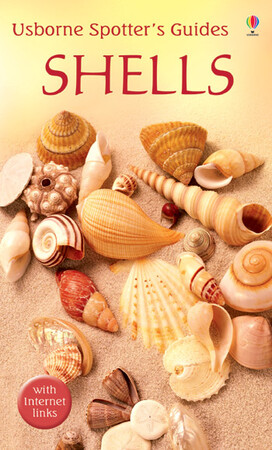 Для младшего школьного возраста: Spotter's Guides: Shells