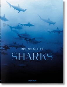 Книги для дорослих: Michael Muller. Sharks [Taschen]