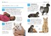 101 Essential Tips Cat Care дополнительное фото 1.