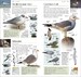 RSPB Pocket Birds дополнительное фото 4.