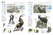 Encyclopedia of Animals [Amber Books] дополнительное фото 3.