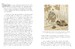 Bushido: Code of the Samurai (Pocket Edition) [Amber Books] дополнительное фото 3.