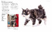Encyclopedia of Cats [Amber Books] дополнительное фото 1.