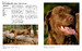 Encyclopedia of Dogs [Amber Books] дополнительное фото 1.