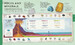 Explore: A Collection of Maps and Diagrams That Explain the World [Dorling Kindersley] дополнительное фото 5.