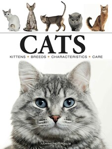 Фауна, флора і садівництво: Cats (Mini Encyclopedia) [Amber Books]