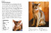 Cat Breeds: Characteristics, Breeds, Care, Origins [Amber Books] дополнительное фото 3.