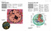 Human Anatomy: An Illustrated Guide to the Structure and Function of the Body [Amber Books] дополнительное фото 2.