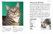 Cat Breeds: Characteristics, Breeds, Care, Origins [Amber Books] дополнительное фото 2.