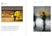 Elements: Chaos, order and the five elemental forces [Thames & Hudson] дополнительное фото 8.