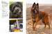Dogs (Mini Encyclopedia) [Amber Books] дополнительное фото 6.