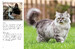 Cats (Mini Encyclopedia) [Amber Books] дополнительное фото 5.