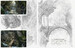 A Middle-Earth Traveller: Sketches from Bag End to Mordor [Harper Collins] дополнительное фото 5.