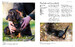 Encyclopedia of Dogs [Amber Books] дополнительное фото 4.
