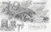 A Middle-Earth Traveller: Sketches from Bag End to Mordor [Harper Collins] дополнительное фото 4.