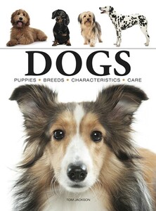 Книги для дорослих: Dogs (Mini Encyclopedia) [Amber Books]