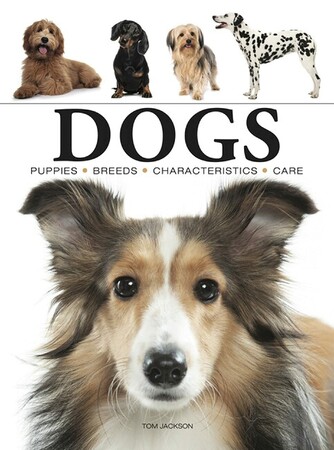 Енциклопедії: Dogs (Mini Encyclopedia) [Amber Books]