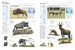 Encyclopedia of Animals [Amber Books] дополнительное фото 2.