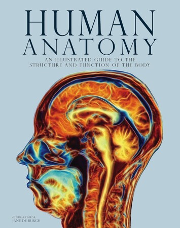 Енциклопедії: Human Anatomy: An Illustrated Guide to the Structure and Function of the Body [Amber Books]