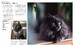 Encyclopedia of Cats [Amber Books] дополнительное фото 3.