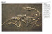Encyclopedia of Dinosaurs [Amber Books] дополнительное фото 1.