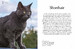 Cat Breeds: Characteristics, Breeds, Care, Origins [Amber Books] дополнительное фото 1.