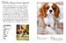 Dog Breeds: Characteristics, Breeds, Care, Origins (Mini Encyclopedias) [Amber Books] дополнительное фото 1.