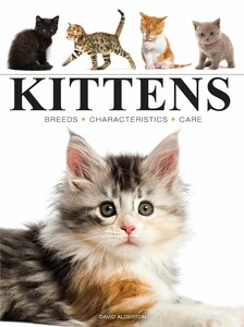 Фауна, флора і садівництво: Kittens (Mini Encyclopedias) [Amber Books]