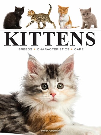 Енциклопедії: Kittens (Mini Encyclopedias) [Amber Books]