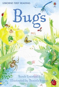 Познавательные книги: Bugs - First Reading Level 3