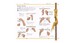 Handbook of Knots дополнительное фото 2.