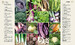 Allotment Month by Month: How to Grow Your Own Fruit and Veg [Dorling Kindersley] дополнительное фото 1.